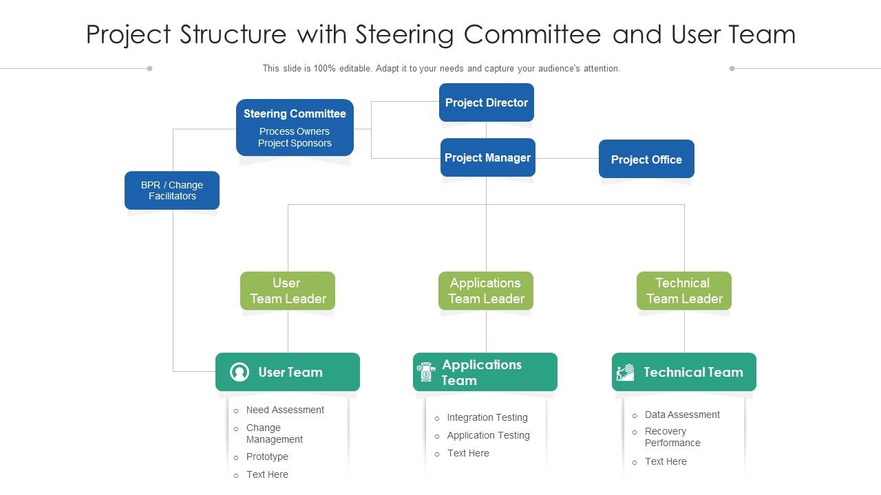 Project_Structure_With_Steering_Committee_And_User_Team_Ppt_PowerPoint_Presentation_File_Templates_PDF_Slide_1.jpg