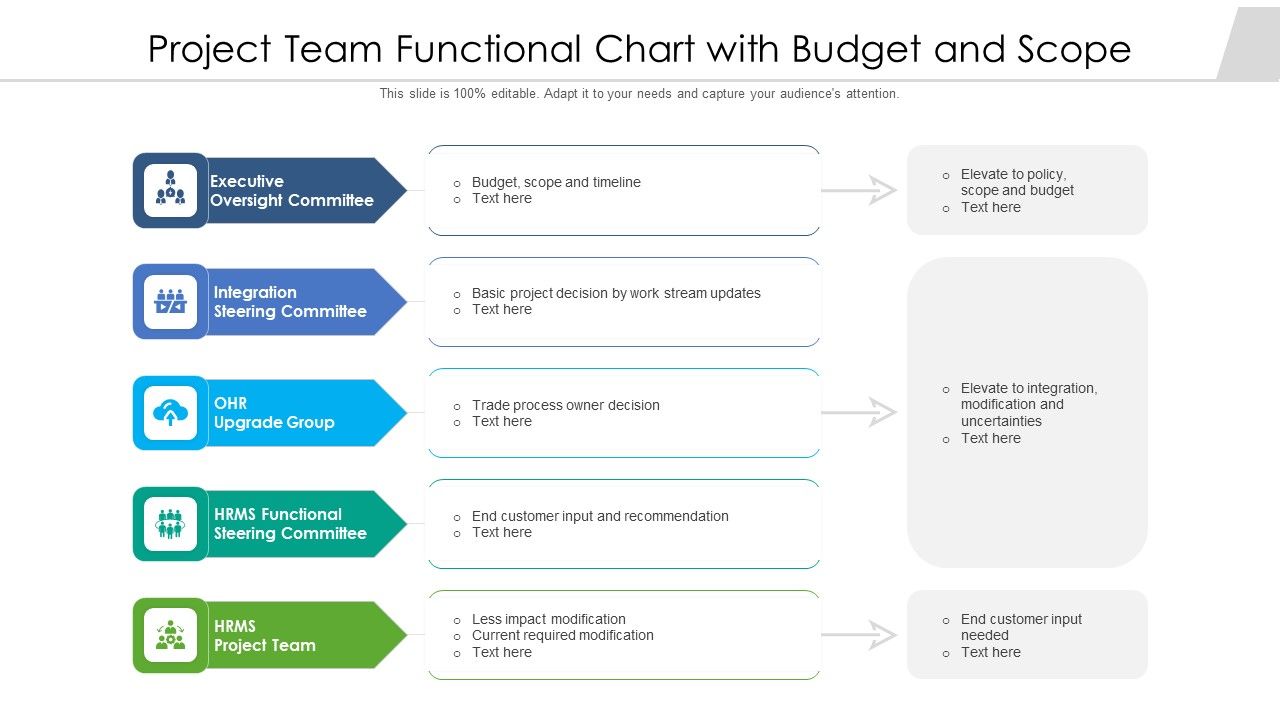 Project_Team_Functional_Chart_With_Budget_And_Scope_Ppt_PowerPoint_Presentation_File_Layout_PDF_Slide_1.jpg