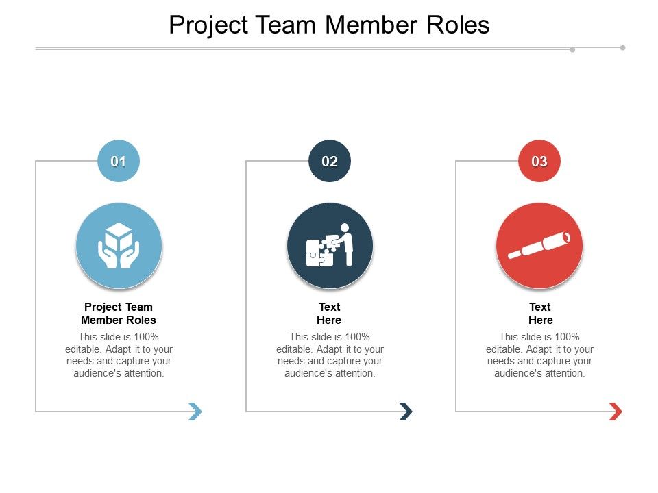 Project_Team_Member_Roles_Ppt_PowerPoint_Presentation_Pictures_Design_Templates_Slide_1.jpg