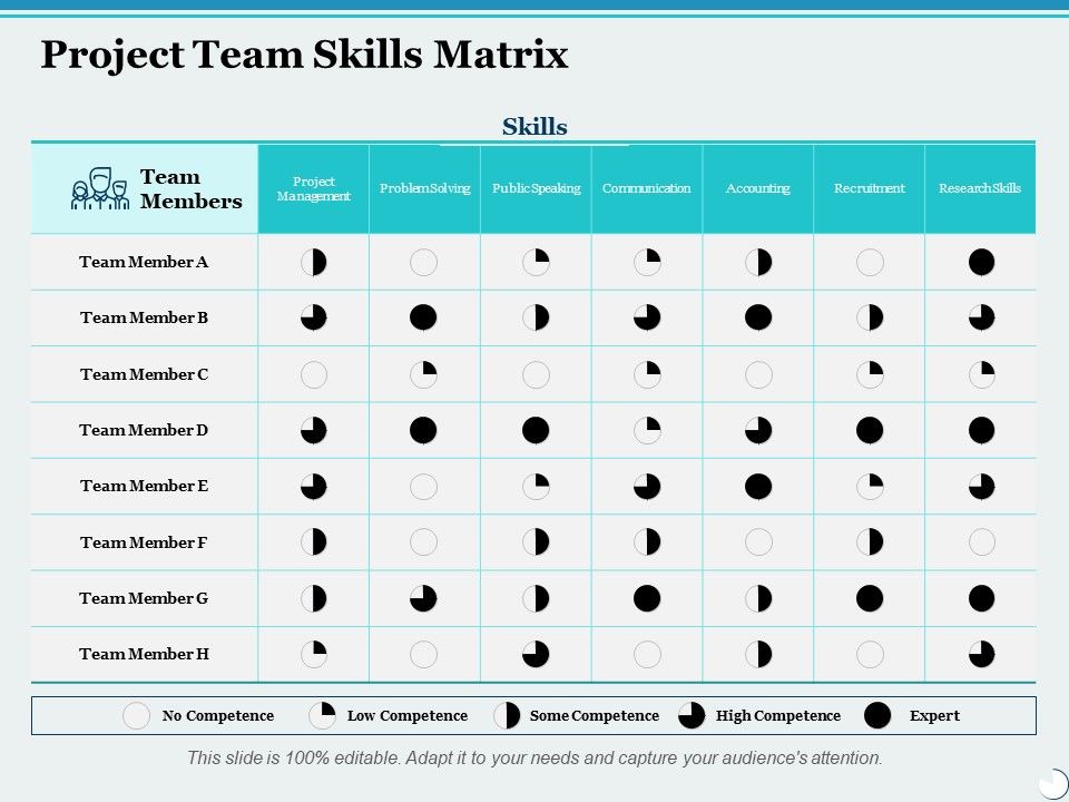 Project_Team_Skills_Matrix_Ppt_PowerPoint_Presentation_Infographic_Template_Graphics_Design_Slide_1.jpg