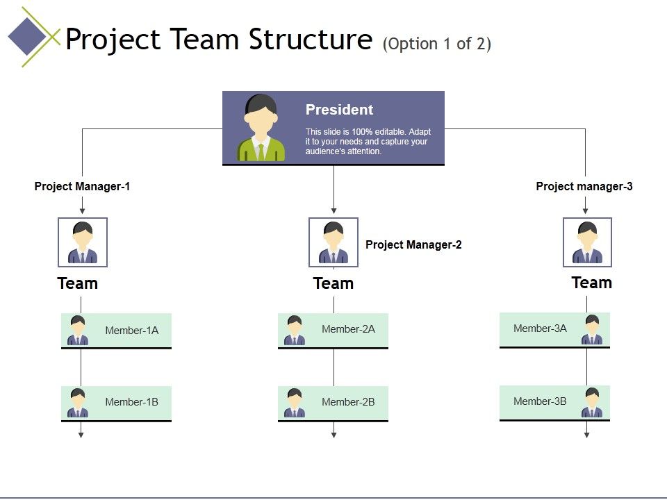 Project_Team_Structure_Template_1_Ppt_PowerPoint_Presentation_Model_Demonstration_Slide_1.jpg