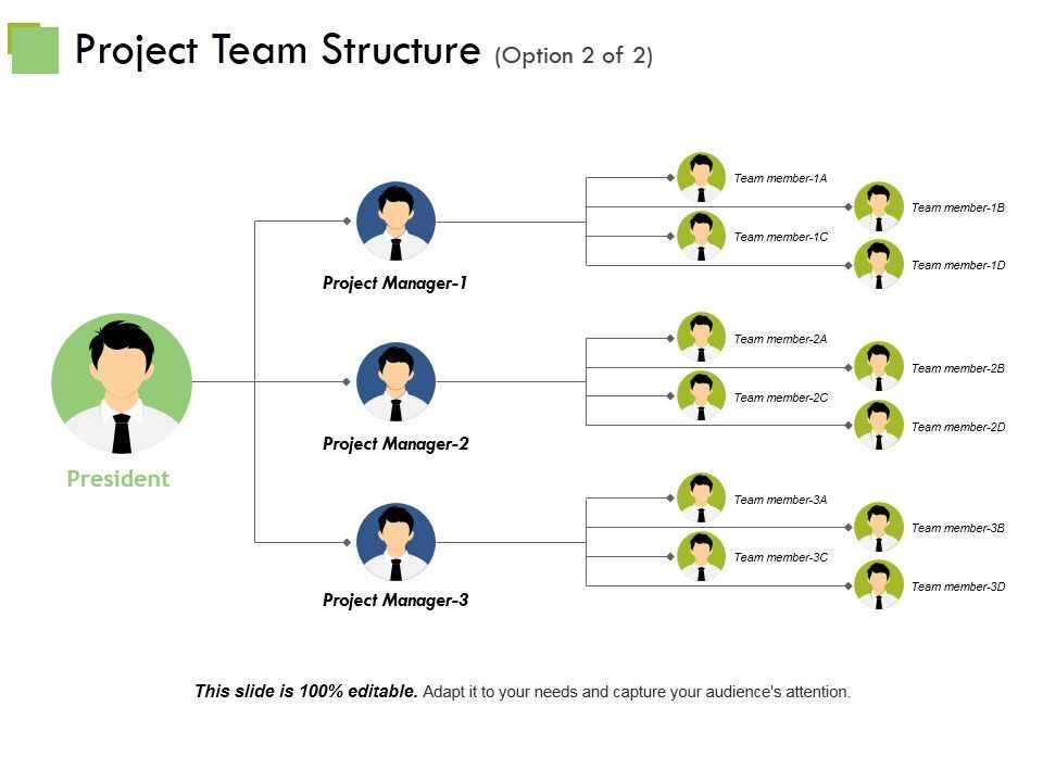 Project_Team_Structure_Template_Ppt_PowerPoint_Presentation_Professional_Vector_Slide_1.jpg