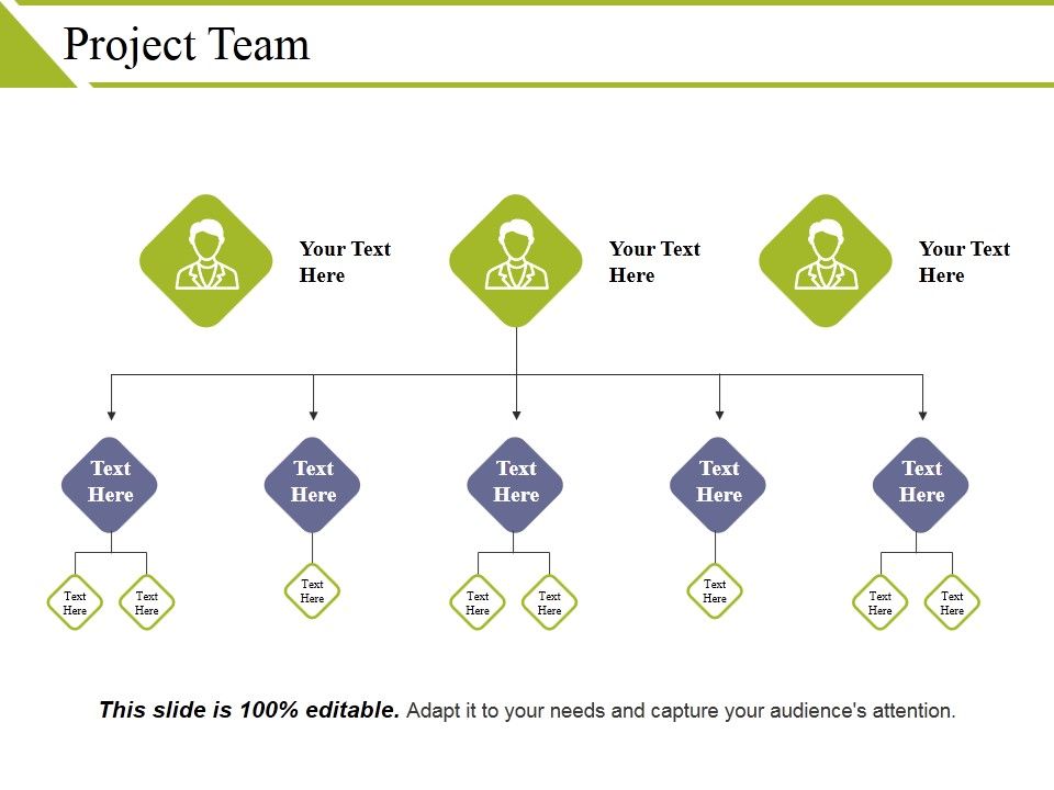 Project_Team_Template_2_Ppt_PowerPoint_Presentation_Layouts_Gallery_Slide_1.jpg