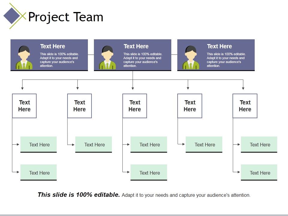 Project_Team_Template_3_Ppt_PowerPoint_Presentation_Show_Sample_Slide_1.jpg