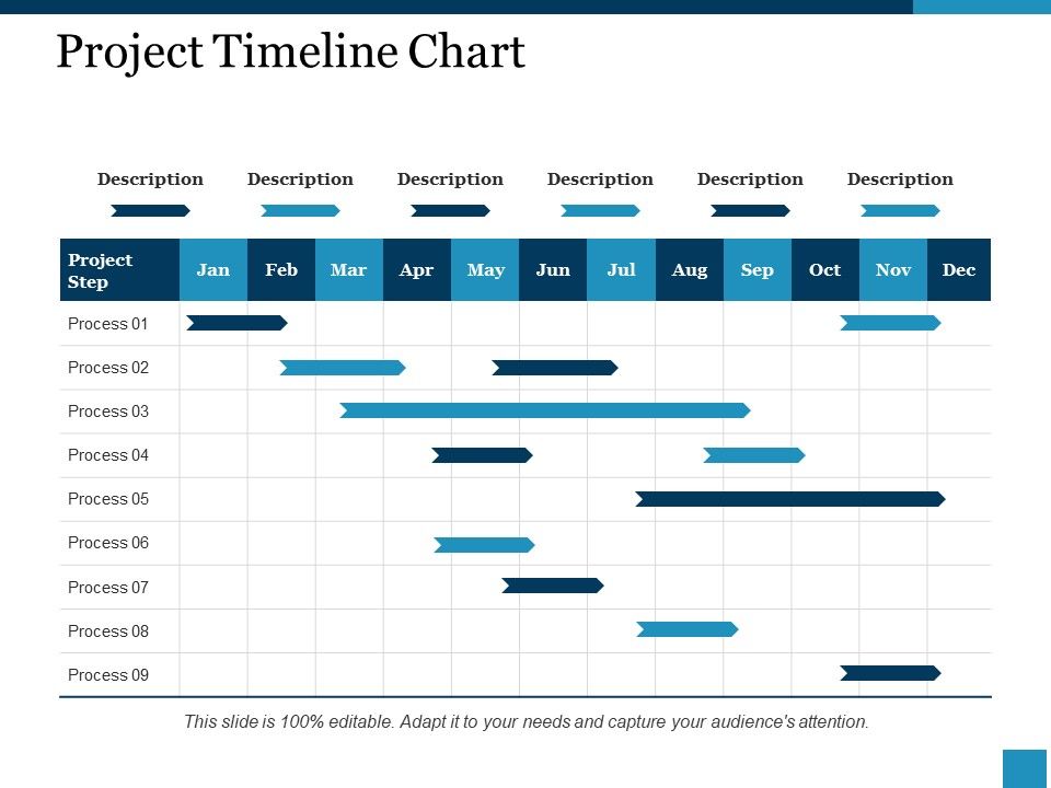 Project_Timeline_Chart_Ppt_PowerPoint_Presentation_Portfolio_Gridlines_Slide_1.jpg