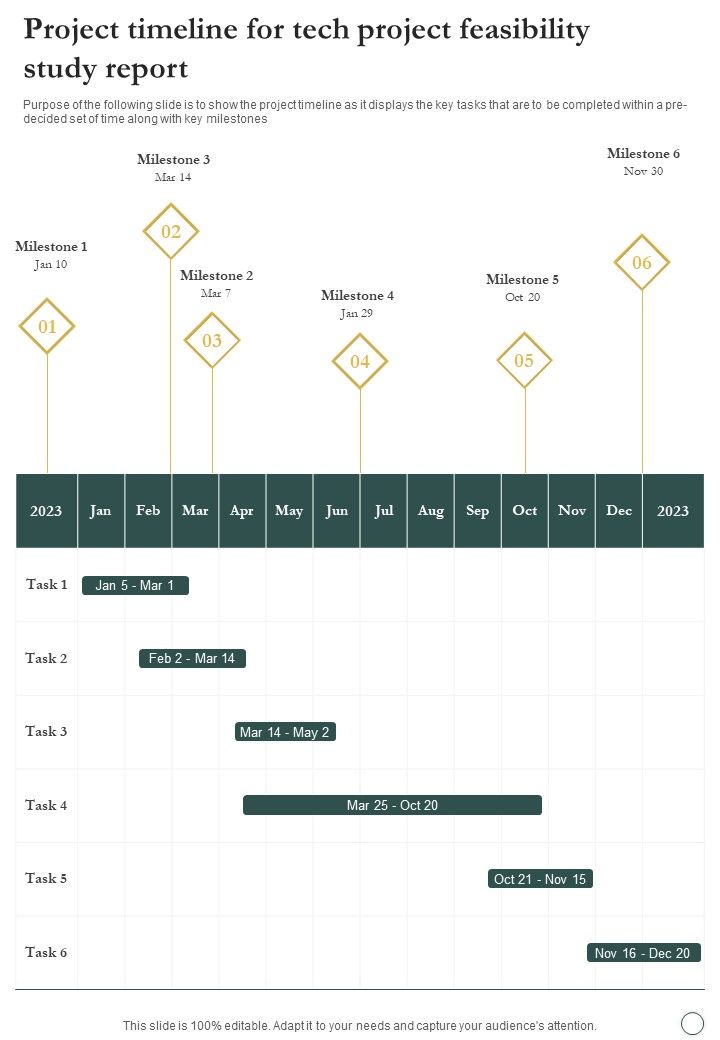 Project_Timeline_For_Tech_Project_Feasibility_Study_Report_One_Pager_Sample_Example_Document_Slide_1.jpg