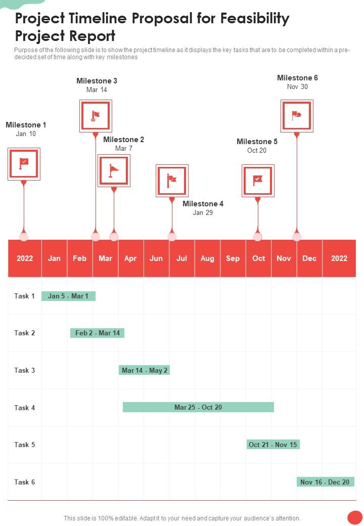 Project Timeline Proposal For Feasibility Project Report One Pager Sample Example Document Slide01