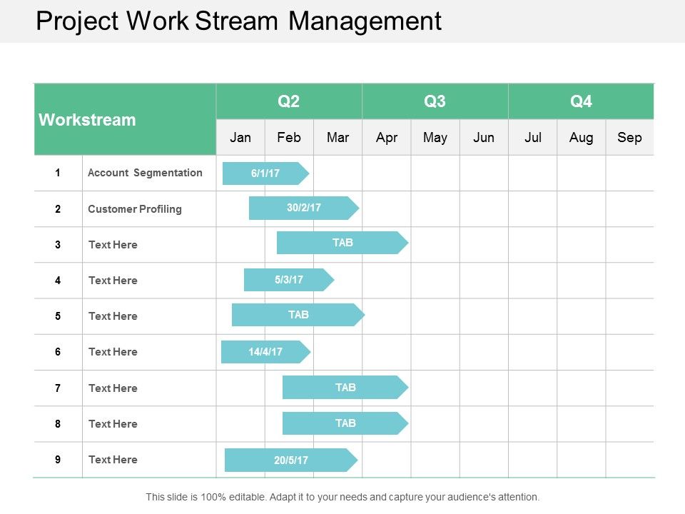 Project_Work_Stream_Management_Ppt_PowerPoint_Presentation_Inspiration_Example_Introduction_Slide_1.jpg