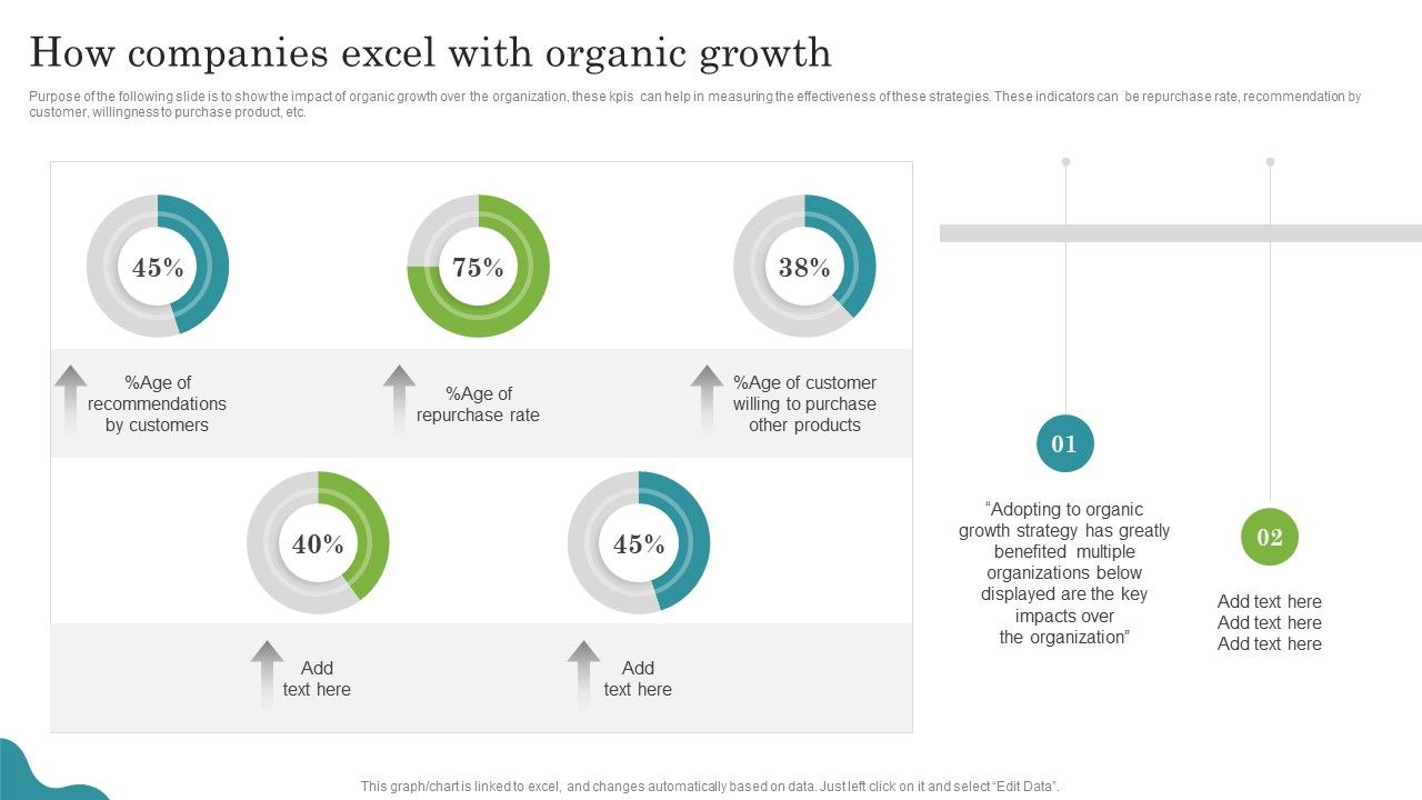 Promoting_Growth_Internal_Operations_Techniques_Playbook_How_Companies_Excel_With_Organic_Growth_Rules_PDF_Slide_1.jpg