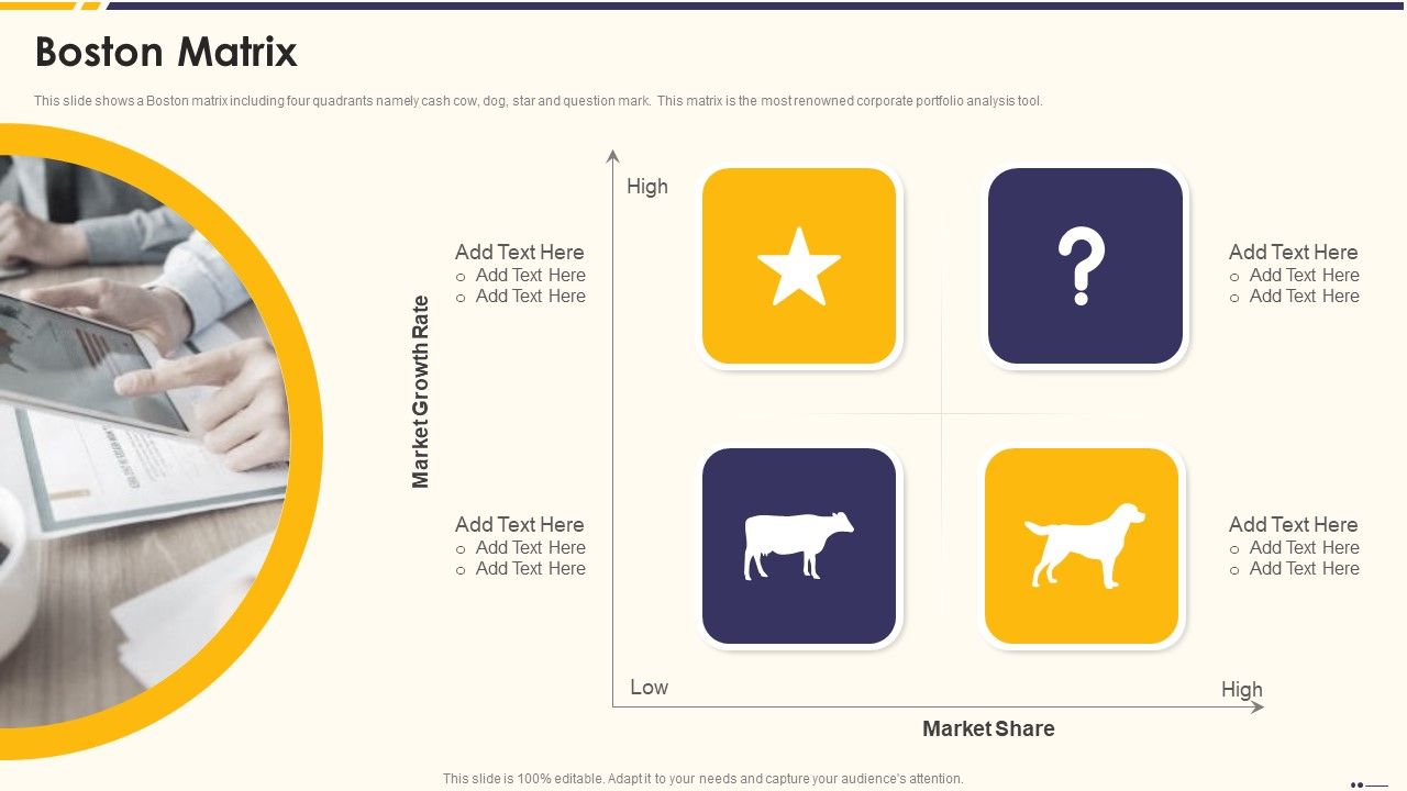 Promotion_Standard_Practices_Tools_And_Templates_Boston_Matrix_Structure_PDF_Slide_1.jpg