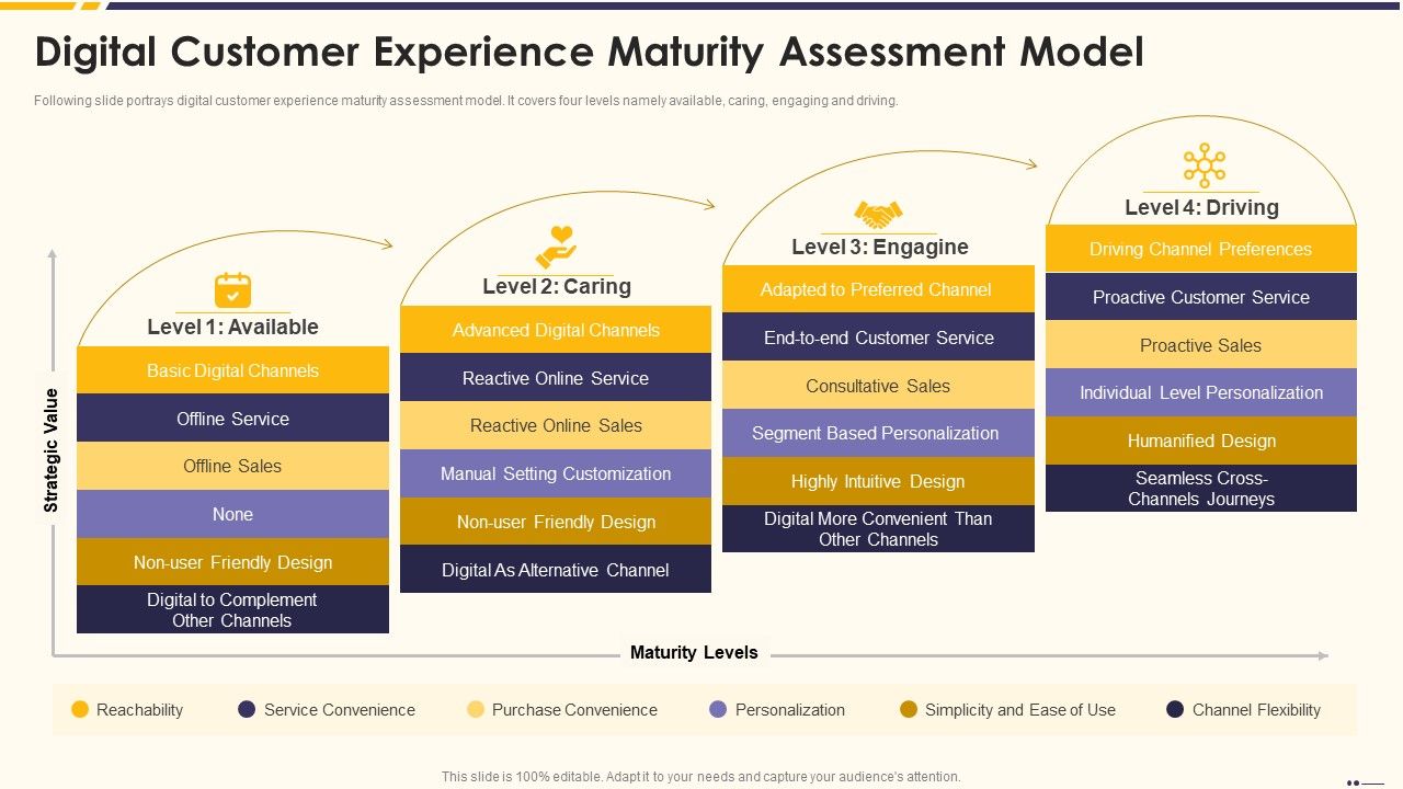 Promotion_Standard_Practices_Tools_And_Templates_Digital_Customer_Experience_Maturity_Designs_PDF_Slide_1.jpg