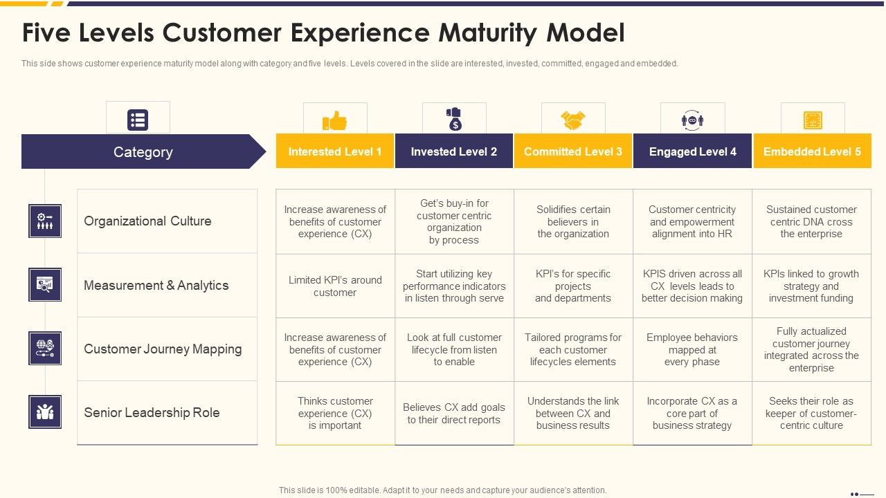 Promotion_Standard_Practices_Tools_And_Templates_Five_Levels_Customer_Experience_Maturity_Model_Pictures_PDF_Slide_1.jpg
