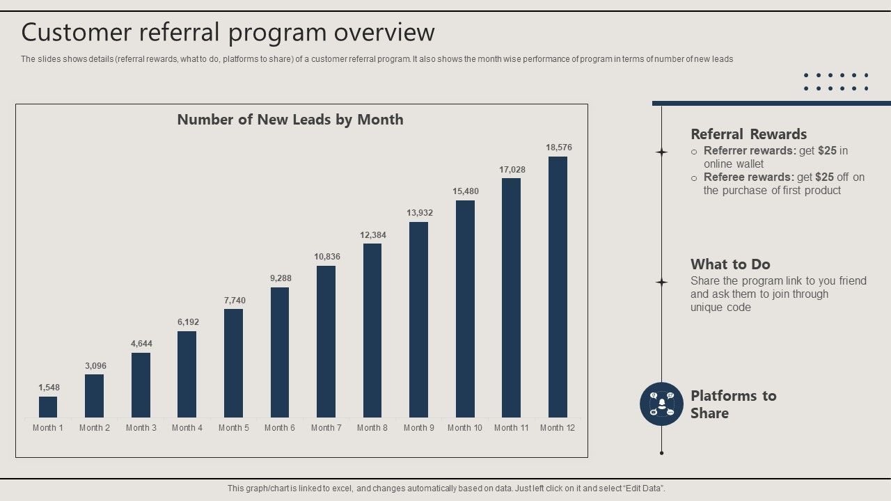Promotion_Techniques_Used_By_B2B_Firms_Customer_Referral_Program_Overview_Portrait_PDF_Slide_1.jpg