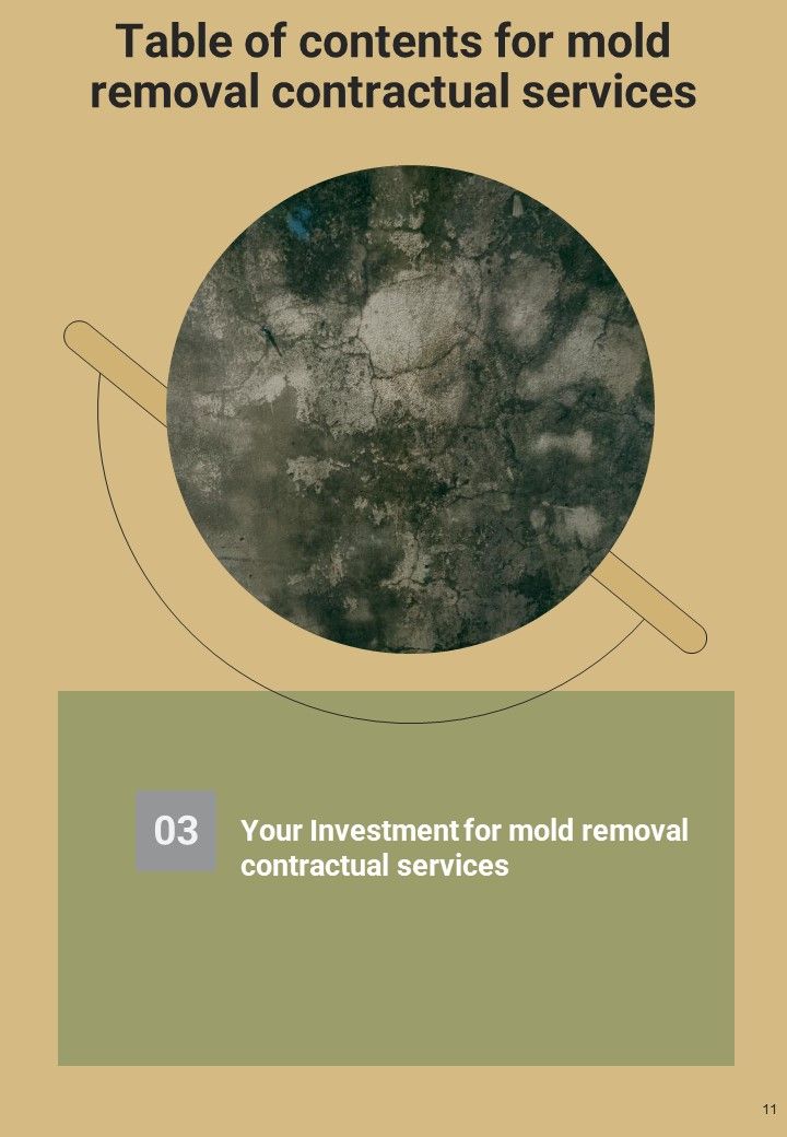 Proposal For Mold Removal Contractual Services Example Document Report Doc Pdf Ppt