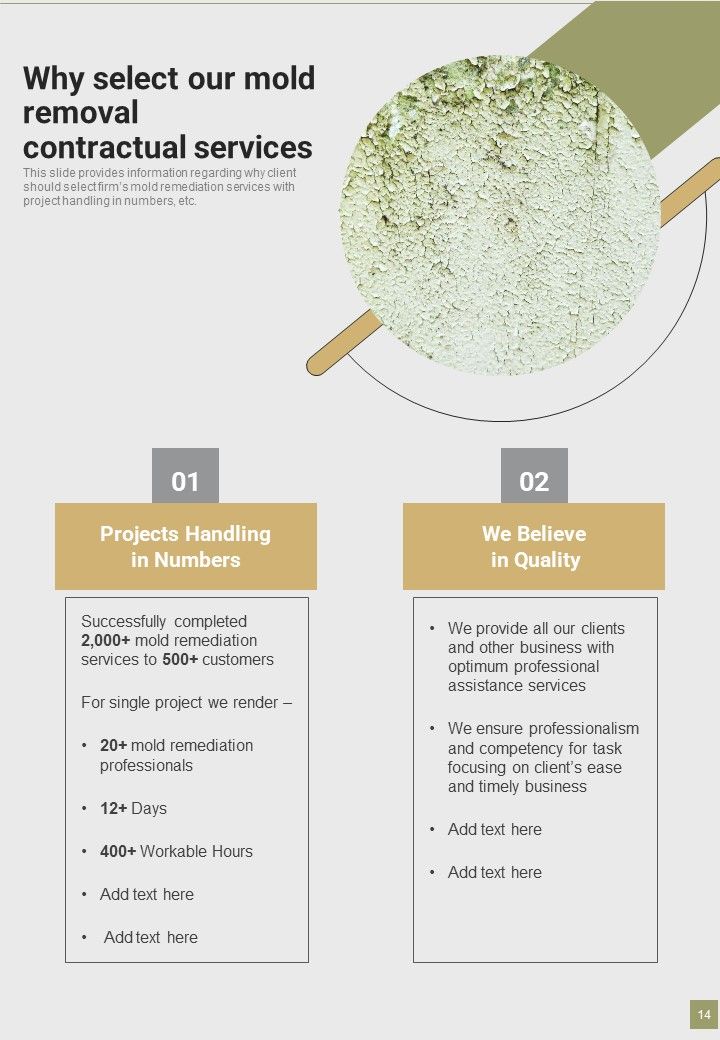 Proposal For Mold Removal Contractual Services Example Document Report Doc Pdf Ppt