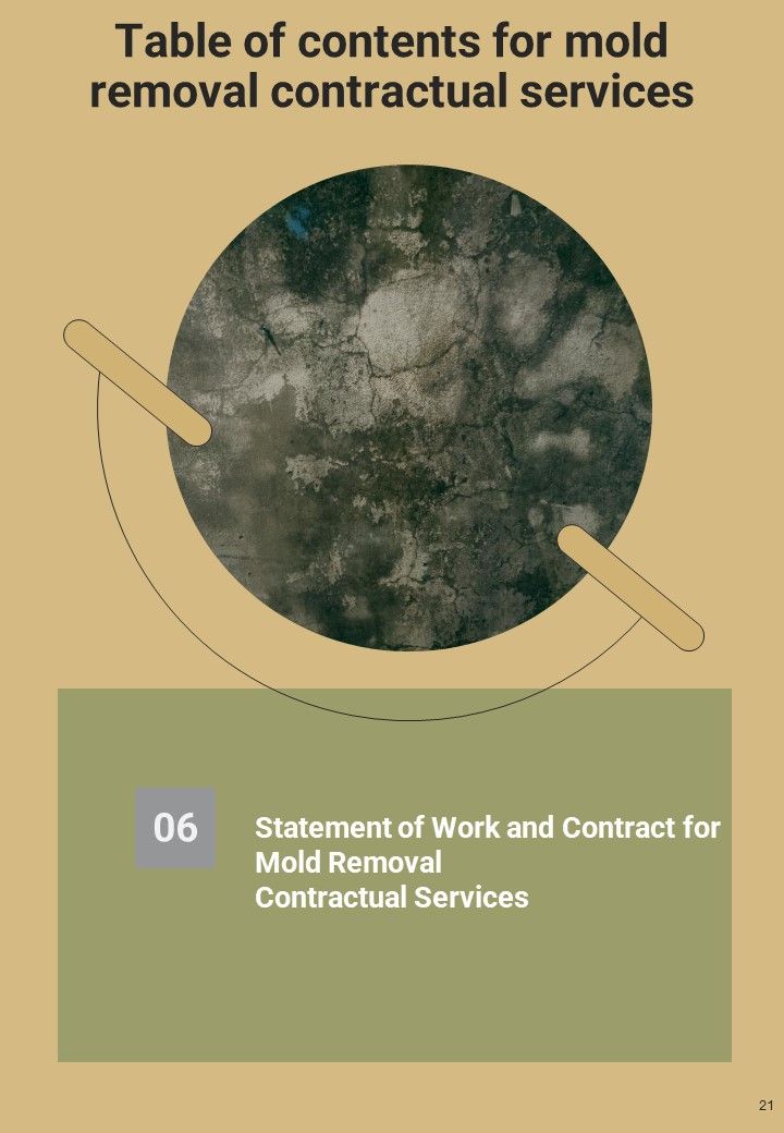 Proposal For Mold Removal Contractual Services Example Document Report Doc Pdf Ppt