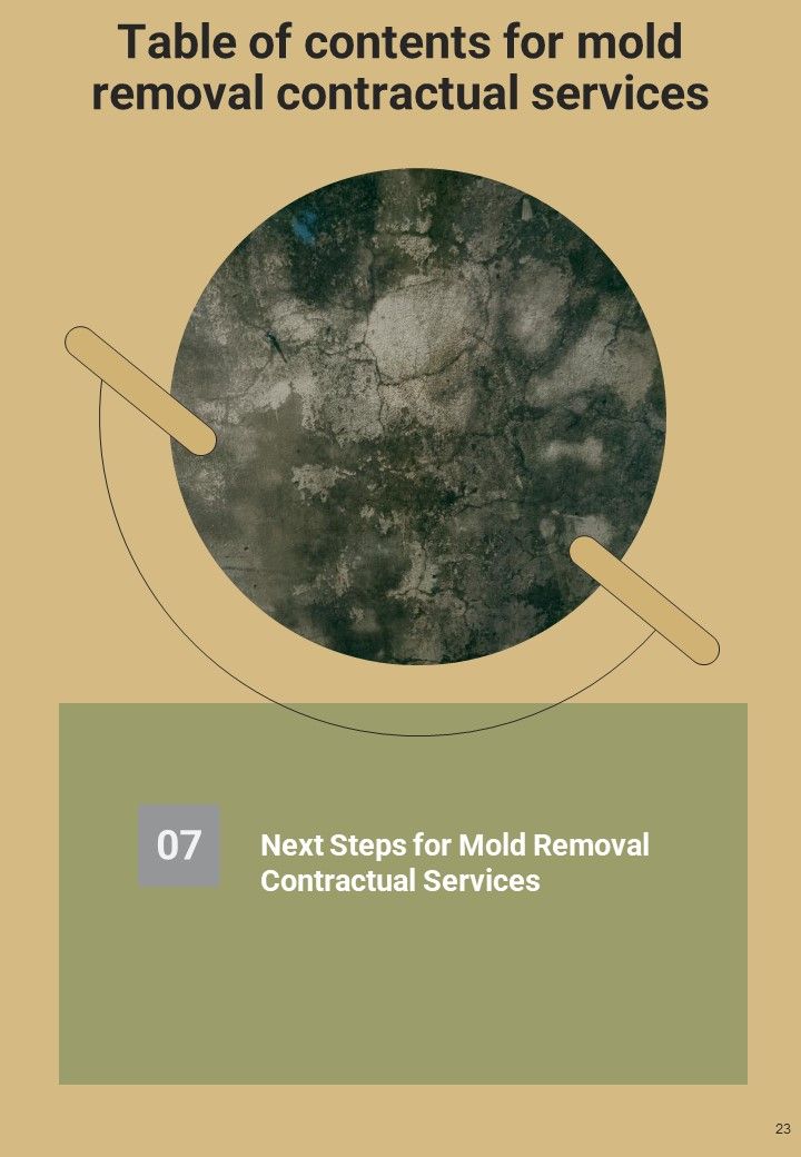Proposal For Mold Removal Contractual Services Example Document Report Doc Pdf Ppt