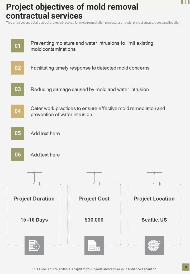 Proposal For Mold Removal Contractual Services Example Document Report Doc Pdf Ppt