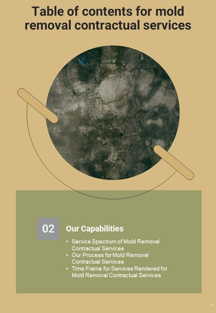 Proposal For Mold Removal Contractual Services Example Document Report Doc Pdf Ppt