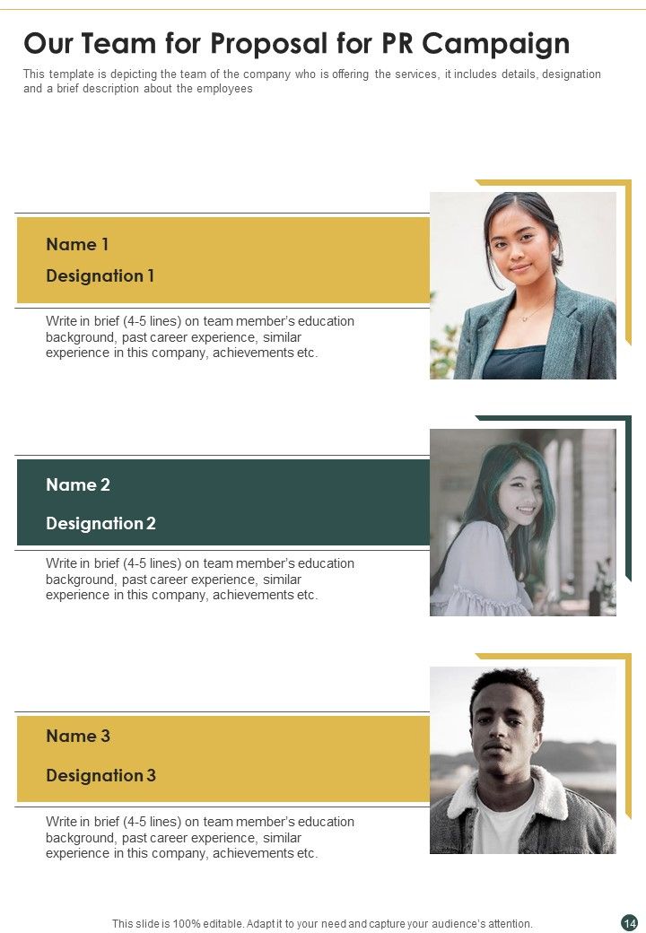 Proposal For PR Campaign Example Document Report Doc Pdf Ppt