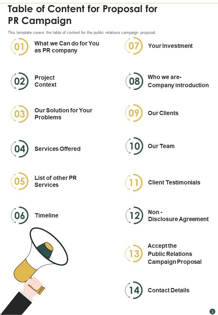 Proposal For PR Campaign Example Document Report Doc Pdf Ppt