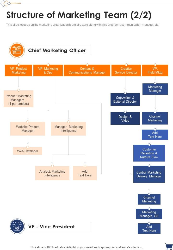 Proposal For Partnership Marketing Strategies Structure Of Marketing Team One Pager Sample Example Document