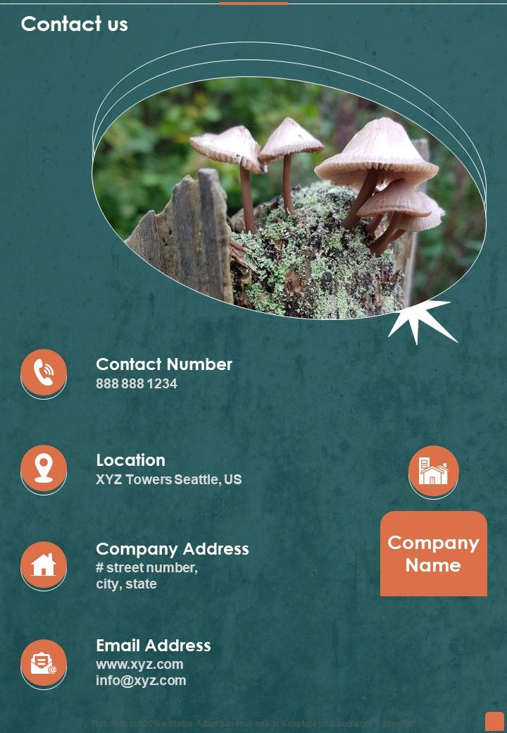Proposal_For_Professional_Mold_Inspection_And_Cleanup_Services_Contact_Us_One_Pager_Sample_Example_Document_Slide_1.jpg