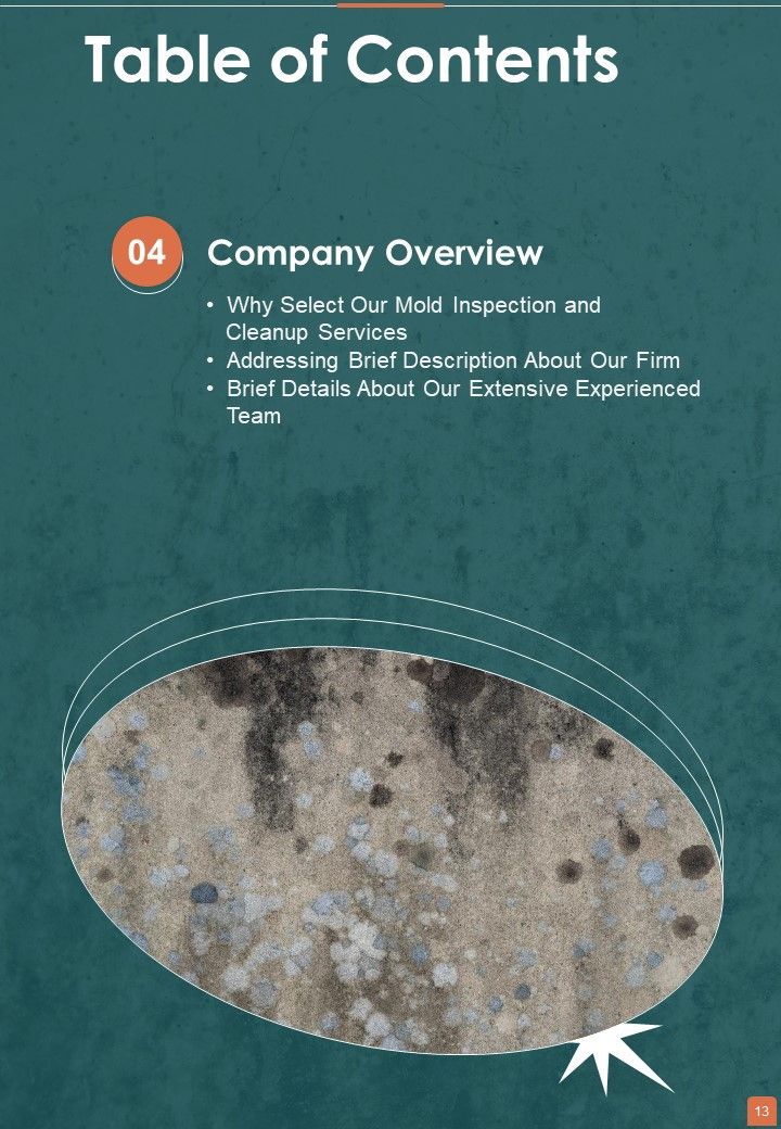 Proposal For Professional Mold Inspection And Cleanup Services Example Document Report Doc Pdf Ppt