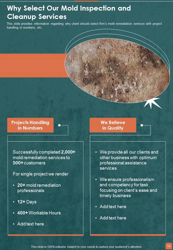 Proposal For Professional Mold Inspection And Cleanup Services Example Document Report Doc Pdf Ppt