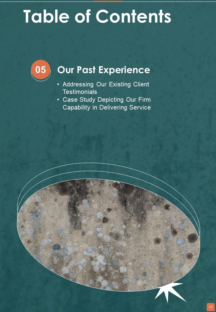 Proposal For Professional Mold Inspection And Cleanup Services Example Document Report Doc Pdf Ppt
