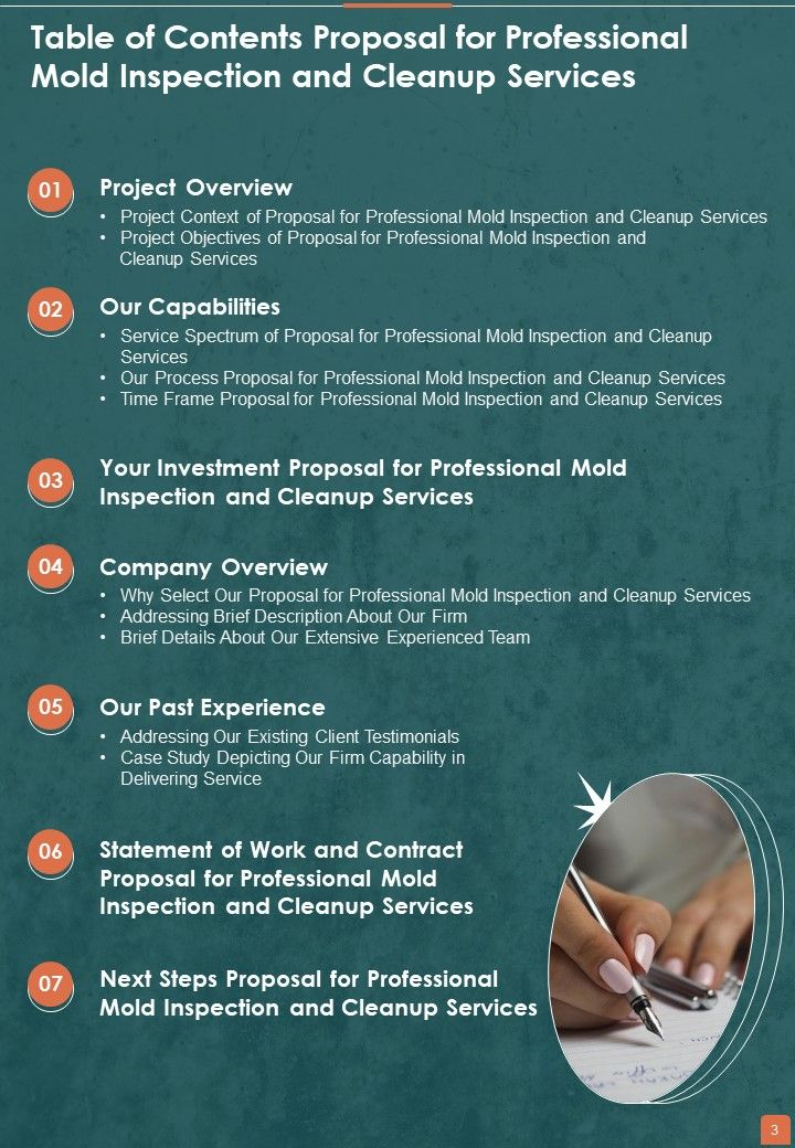 Proposal For Professional Mold Inspection And Cleanup Services Example Document Report Doc Pdf Ppt
