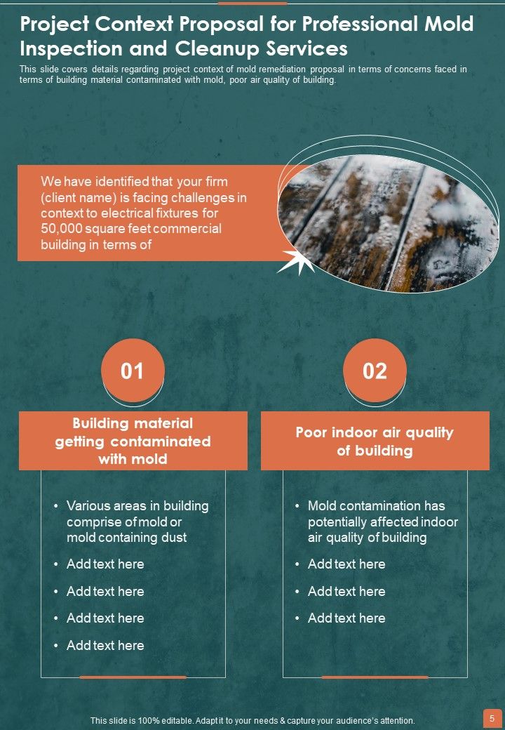 Proposal For Professional Mold Inspection And Cleanup Services Example Document Report Doc Pdf Ppt