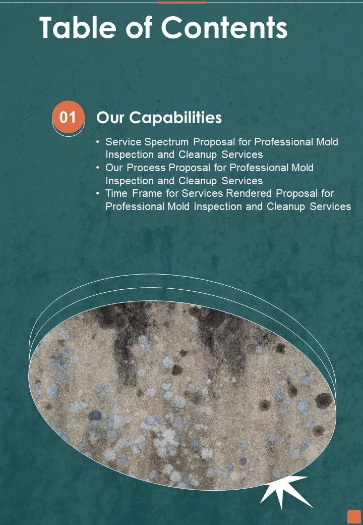 Proposal For Professional Mold Inspection And Cleanup Services Table Of Contents One Pager Sample Example Document Slide01