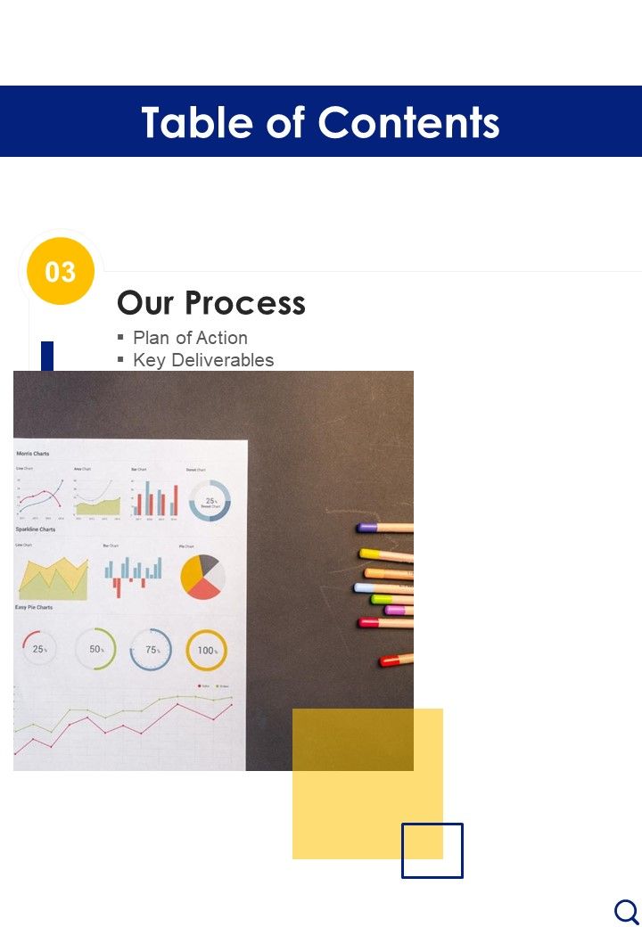 Proposal For Special Investigation Project Example Document Report Doc Pdf Ppt