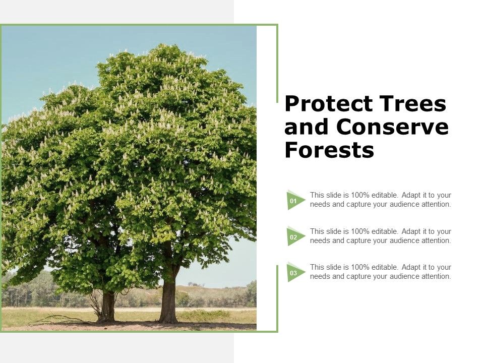 Protect_Trees_And_Conserve_Forests_Ppt_PowerPoint_Presentation_Model_Design_Ideas_Slide_1.jpg