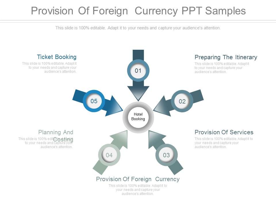 Provision_Of_Foreign_Currency_Ppt_Samples_1.jpg
