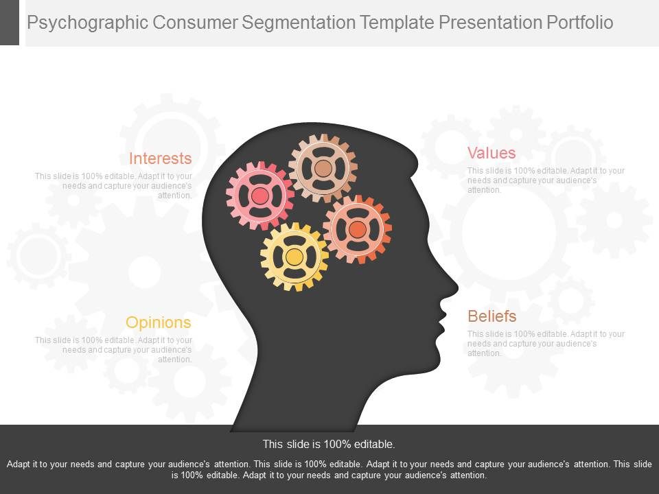 Psychographic_Consumer_Segmentation_Template_Presentation_Portfolio_1.jpg