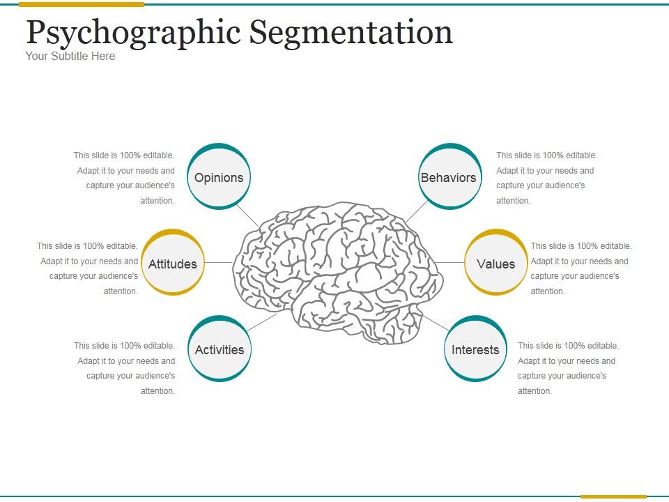 Psychographic_Segmentation_Ppt_PowerPoint_Presentation_Information_Slide_1.jpg