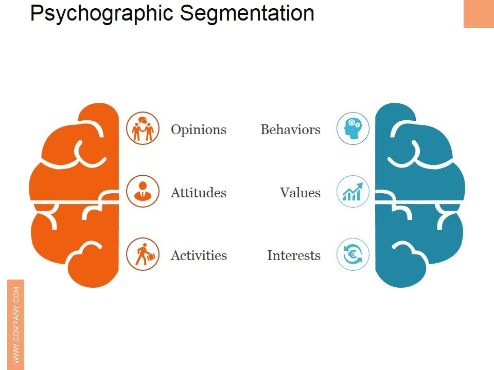 Psychographic_Segmentation_Ppt_PowerPoint_Presentation_Summary_Slides_Slide_1.jpg