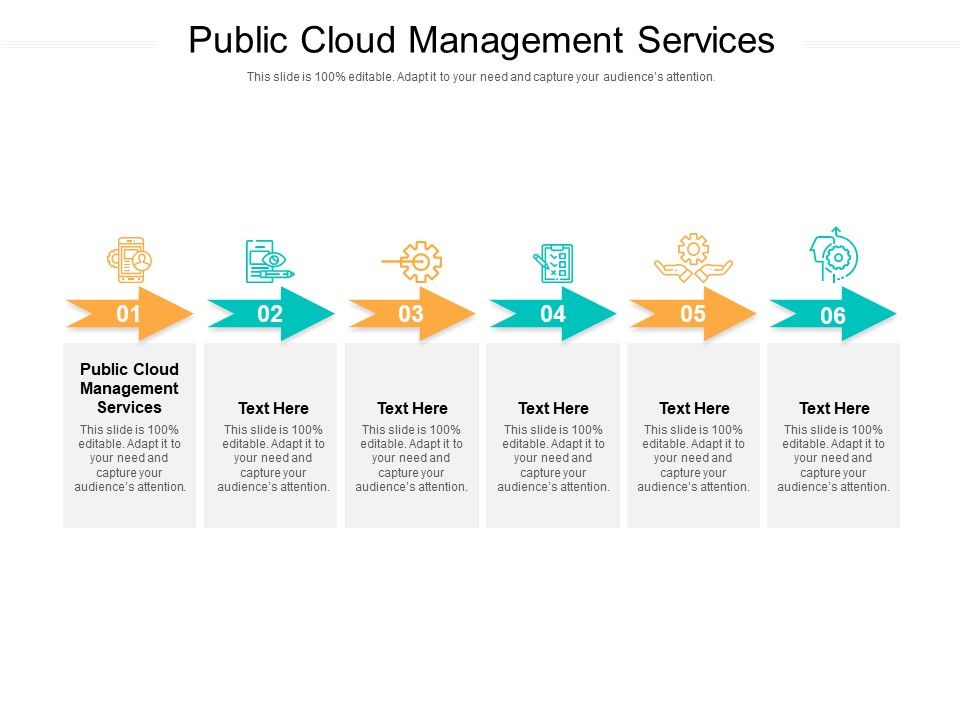 Public_Cloud_Management_Services_Ppt_PowerPoint_Presentation_Portfolio_Graphic_Images_Cpb_Pdf_Slide_1.jpg