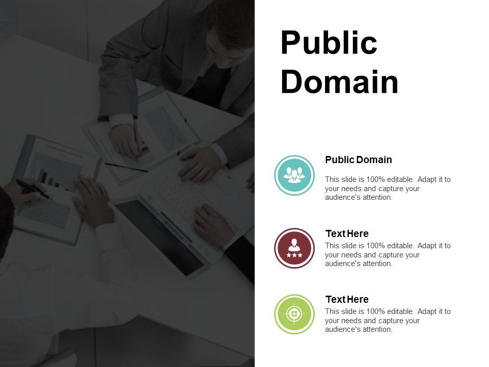 Public_Domain_Ppt_PowerPoint_Presentation_Portfolio_Example_Introduction_Cpb_Slide_1.jpg