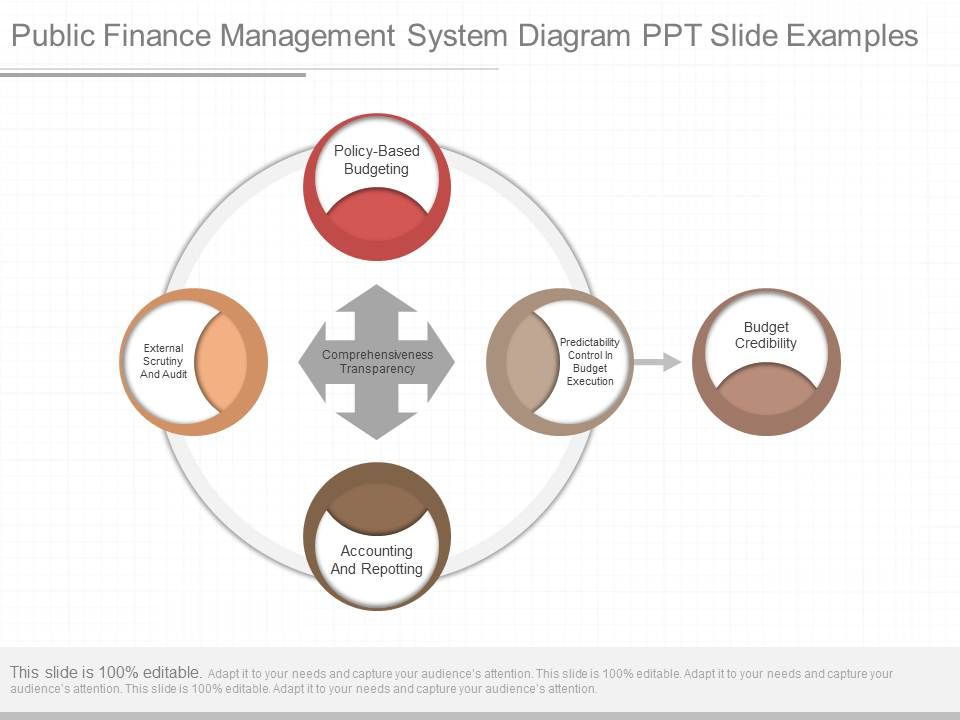 Public_Finance_Management_System_Diagram_Ppt_Slide_Examples_1.jpg