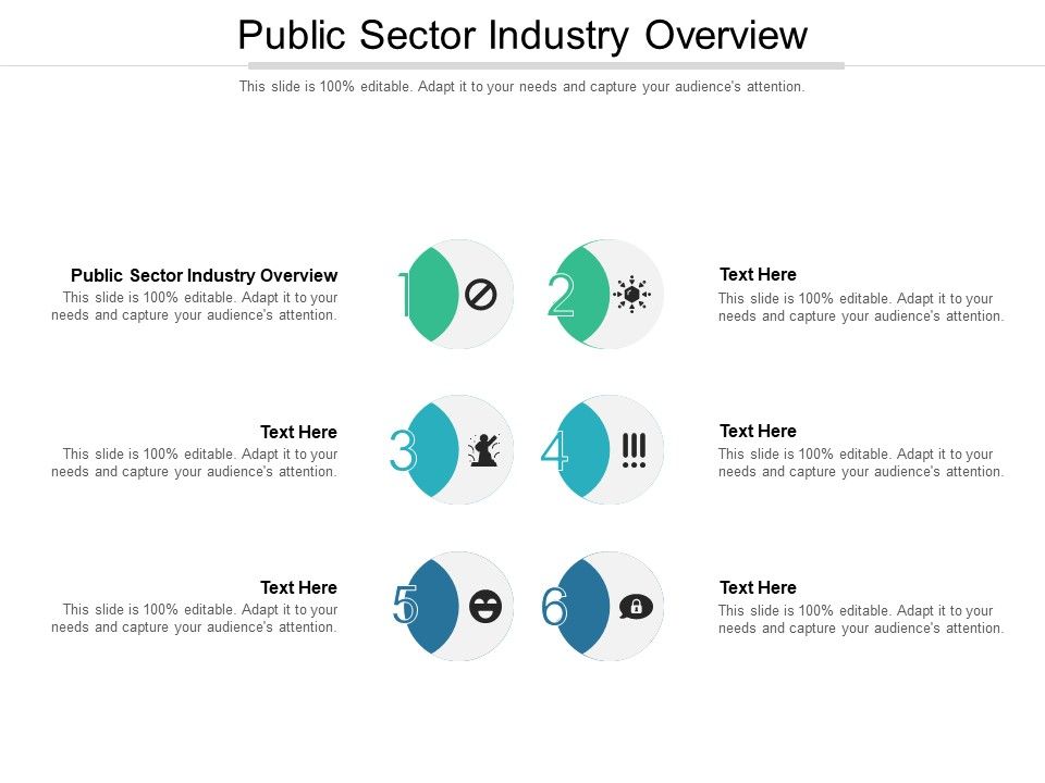 Public_Sector_Industry_Overview_Ppt_PowerPoint_Presentation_Summary_Themes_Cpb_Pdf_Slide_1.jpg