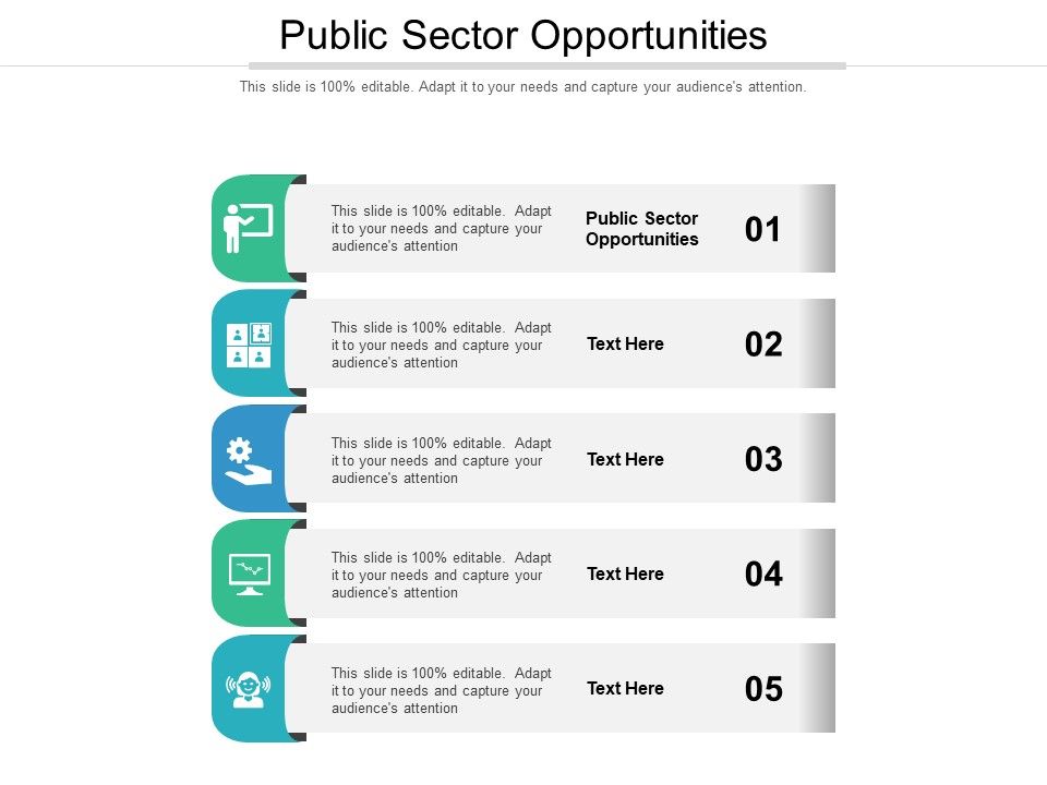 Public_Sector_Opportunities_Ppt_PowerPoint_Presentation_Styles_Tips_Cpb_Pdf_Slide_1.jpg