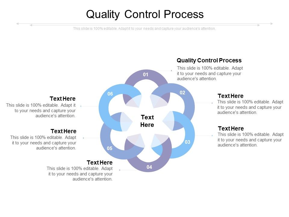 Quality_Control_Process_Ppt_PowerPoint_Presentation_Gallery_Background_Images_Cpb_Slide_1.jpg