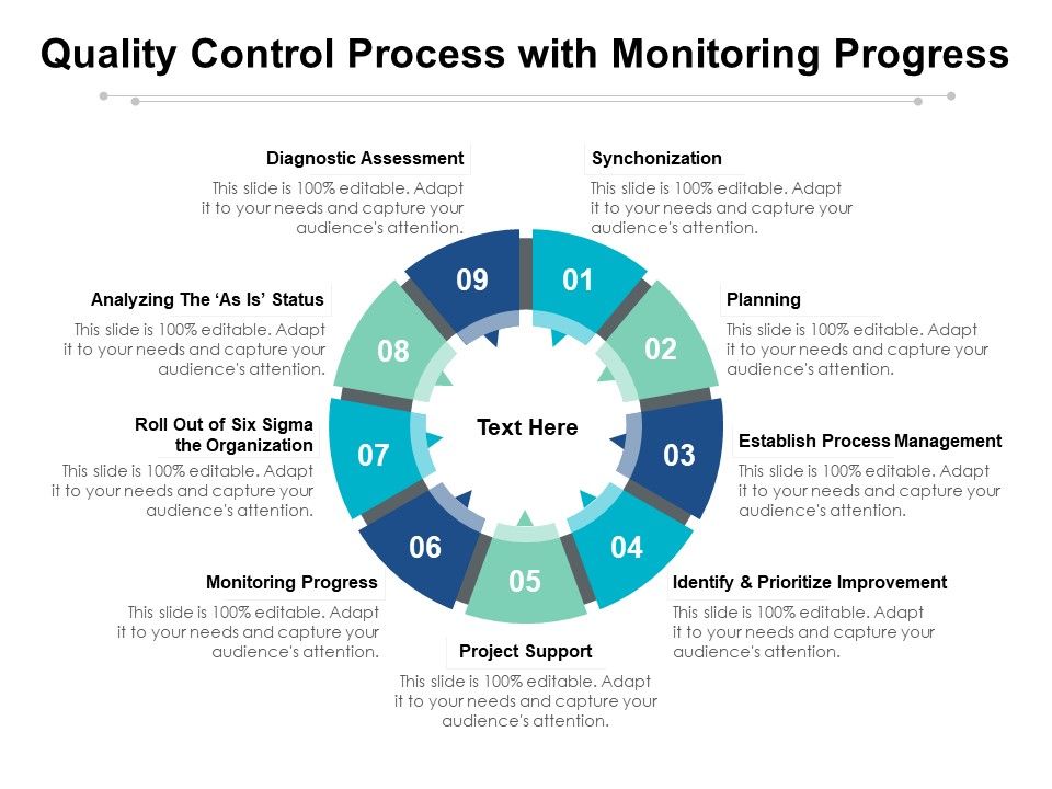 Quality_Control_Process_With_Monitoring_Progress_Ppt_PowerPoint_Presentation_Summary_Shapes_PDF_Slide_1.jpg