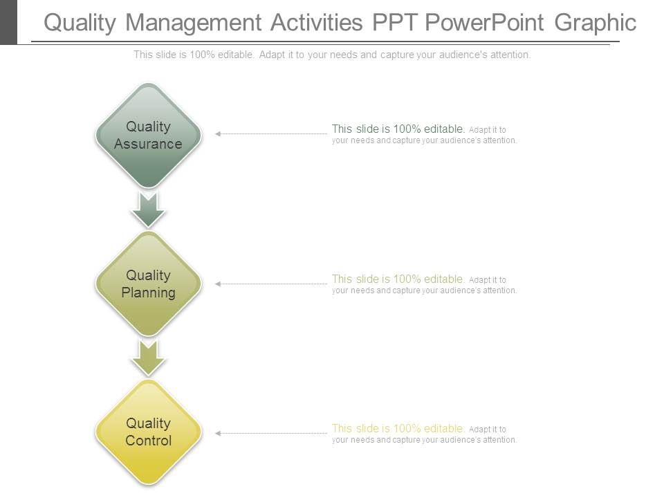 Quality_Management_Activities_Ppt_Powerpoint_Graphic_1.jpg