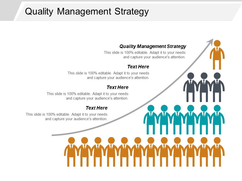 Quality_Management_Strategy_Ppt_PowerPoint_Presentation_Ideas_Tips_Cpb_Slide_1.jpg