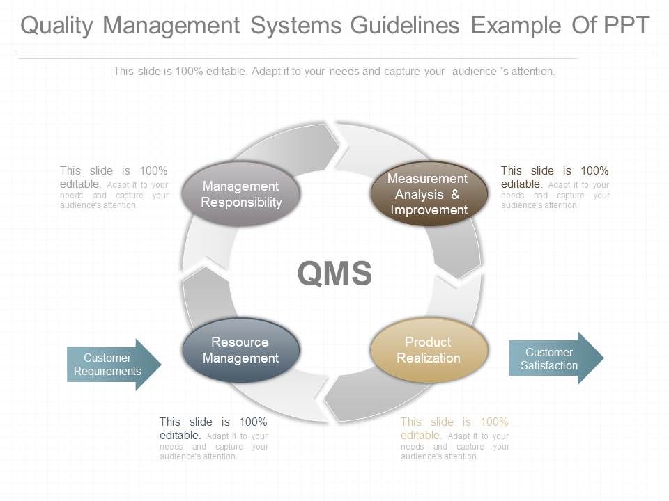 Quality_Management_Systems_Guidelines_Example_Of_Ppt_1.jpg