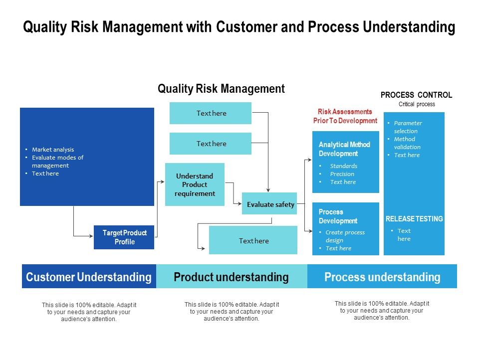 Quality_Risk_Management_With_Customer_And_Process_Understanding_Ppt_PowerPoint_Presentation_Gallery_Example_Introduction_PDF_Slide_1.jpg